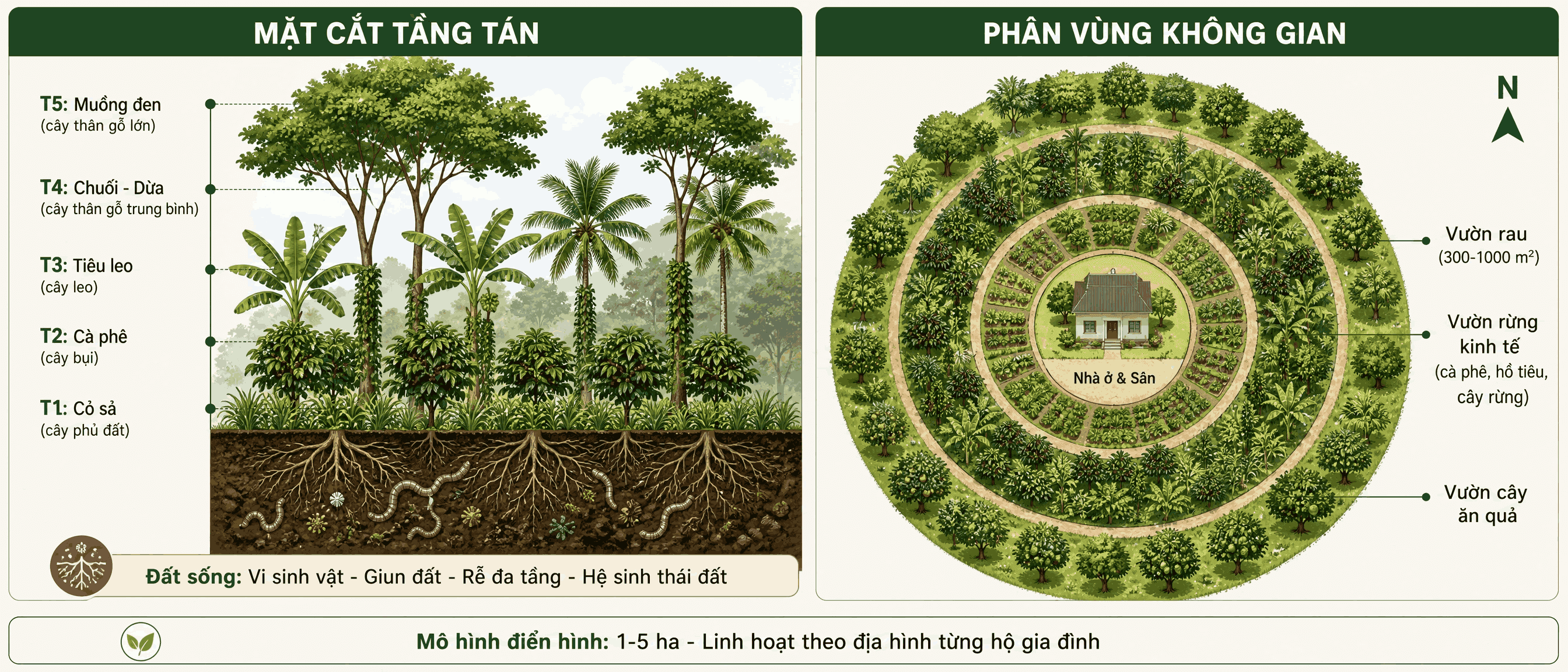 Sơ đồ Hệ sinh thái đa tầng tán và Phân vùng không gian - Vườn Rừng Nhà Tôi