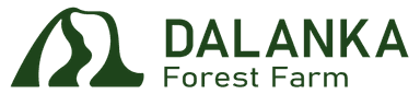 Dalanka Forest Farm