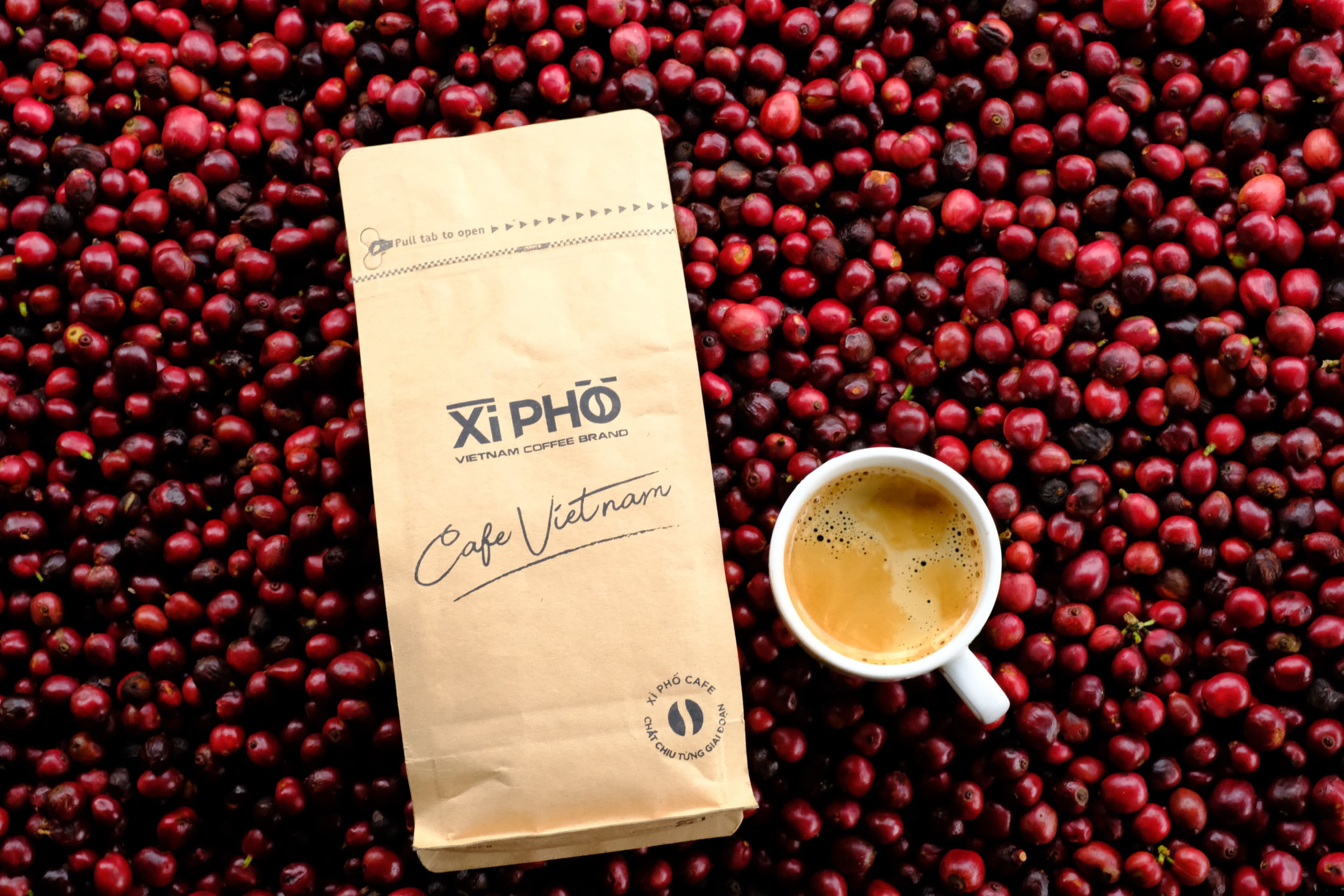 Cupping thành phẩm