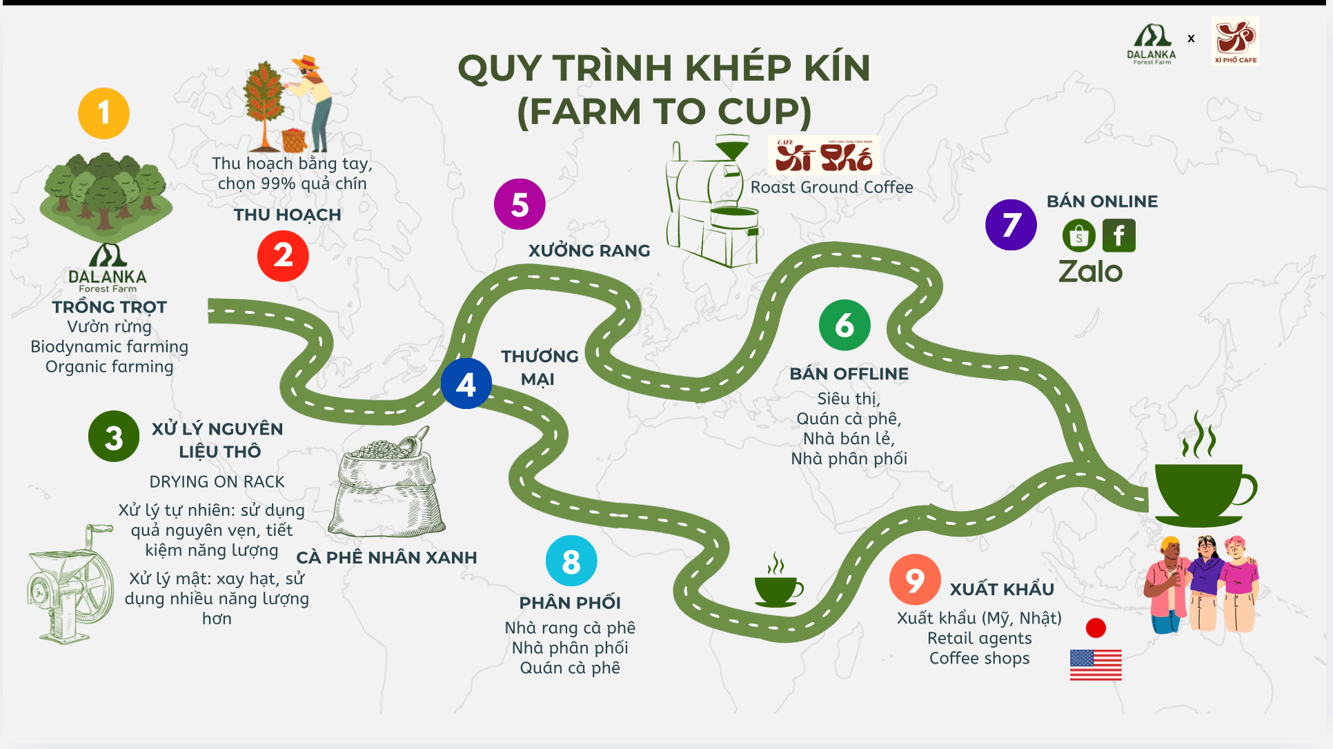 Farm to Cup 9ステップ工程図
