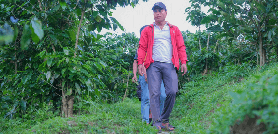 Vườn Hoàng Luận