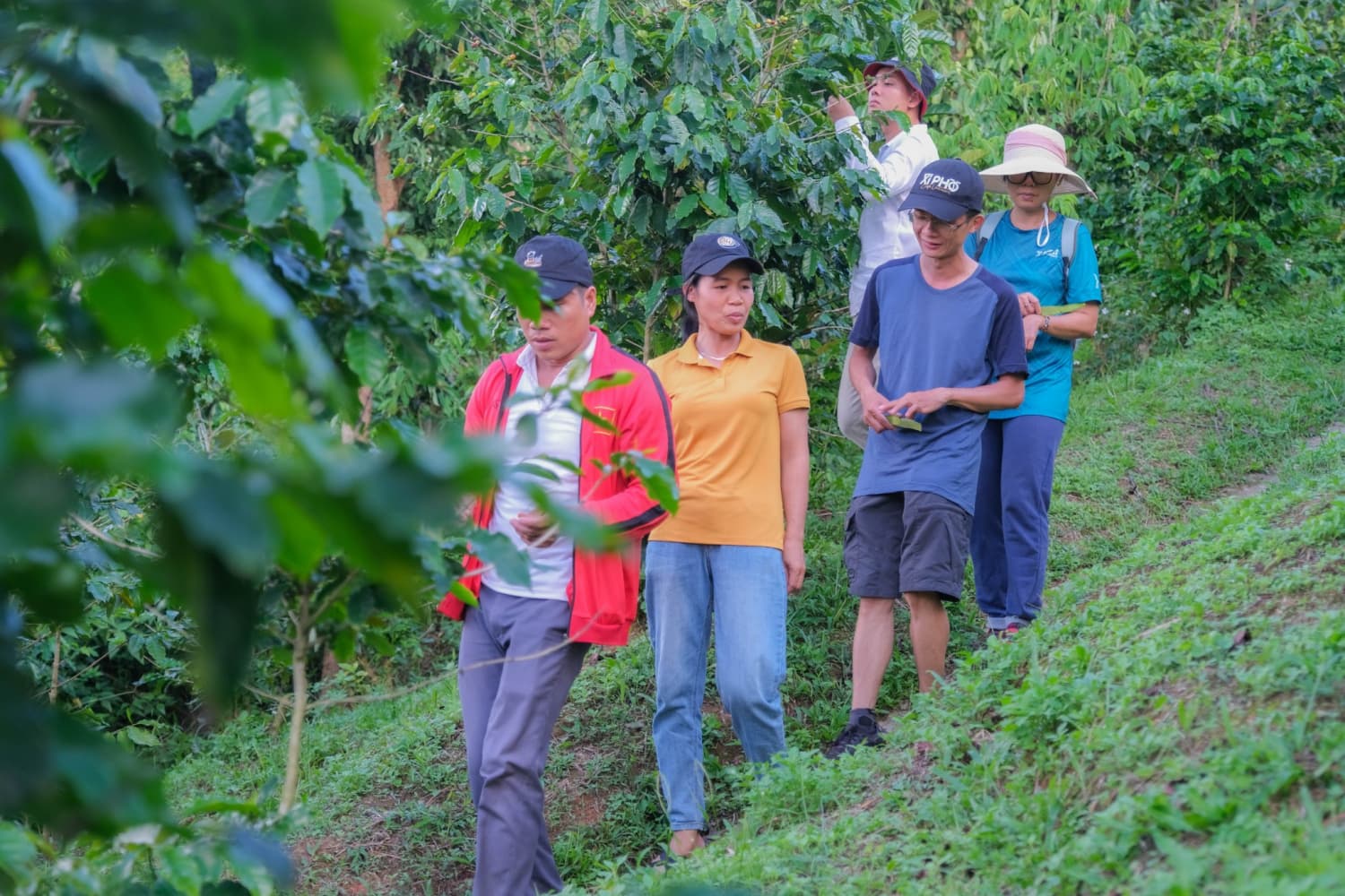 Vườn Hoàng Luận 3