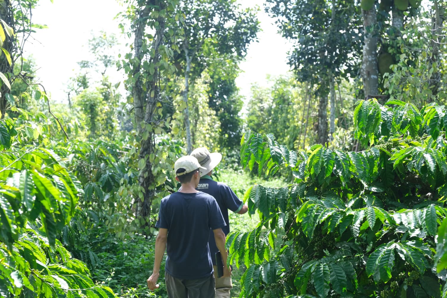 Tham quan vườn rừng