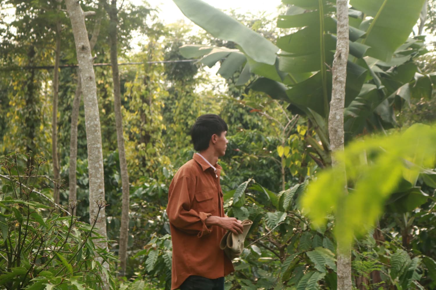 Vườn nhà Dũng 2