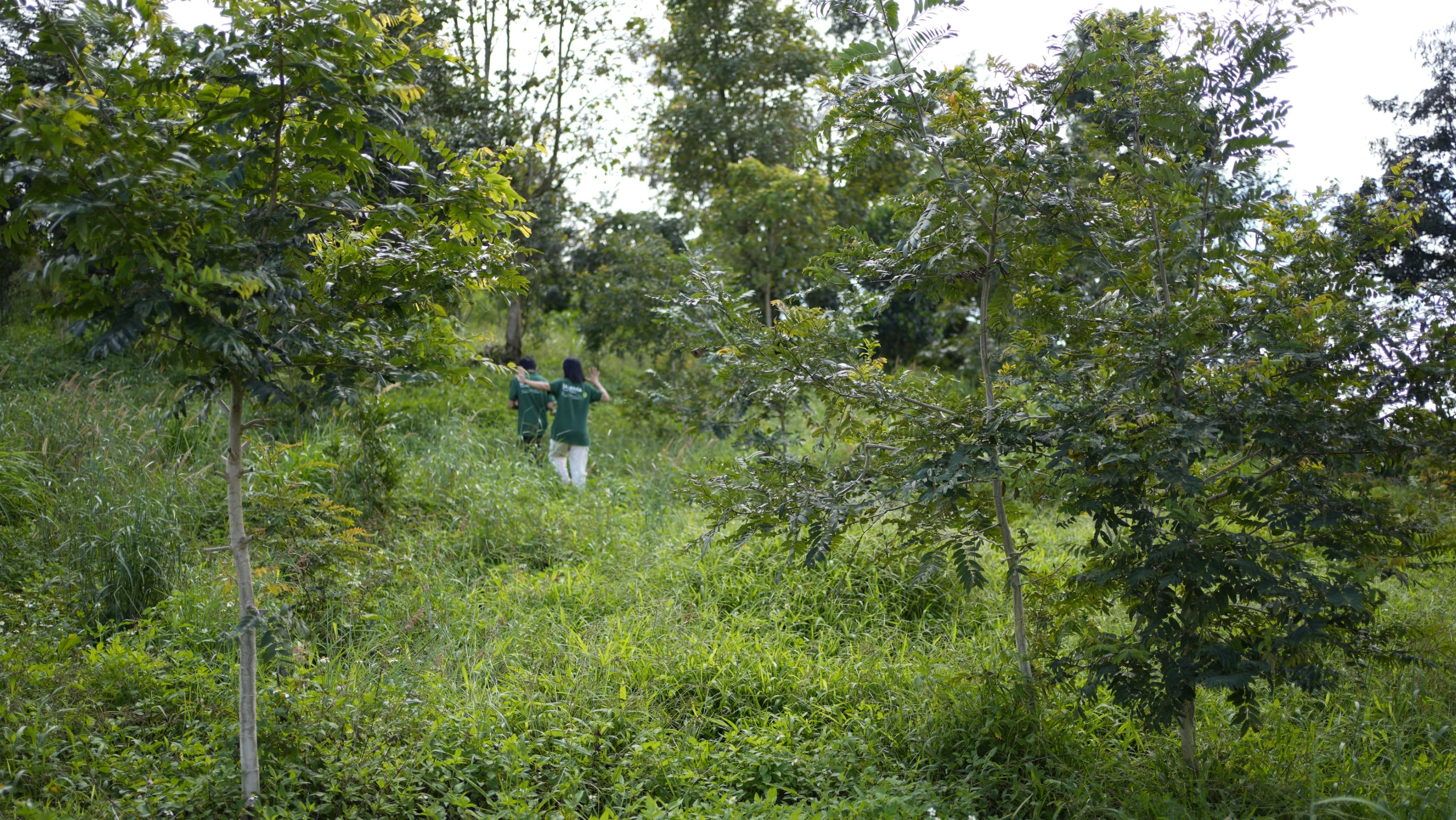 Vườn mẫu Dalanka - Lạc Đà Farm 3