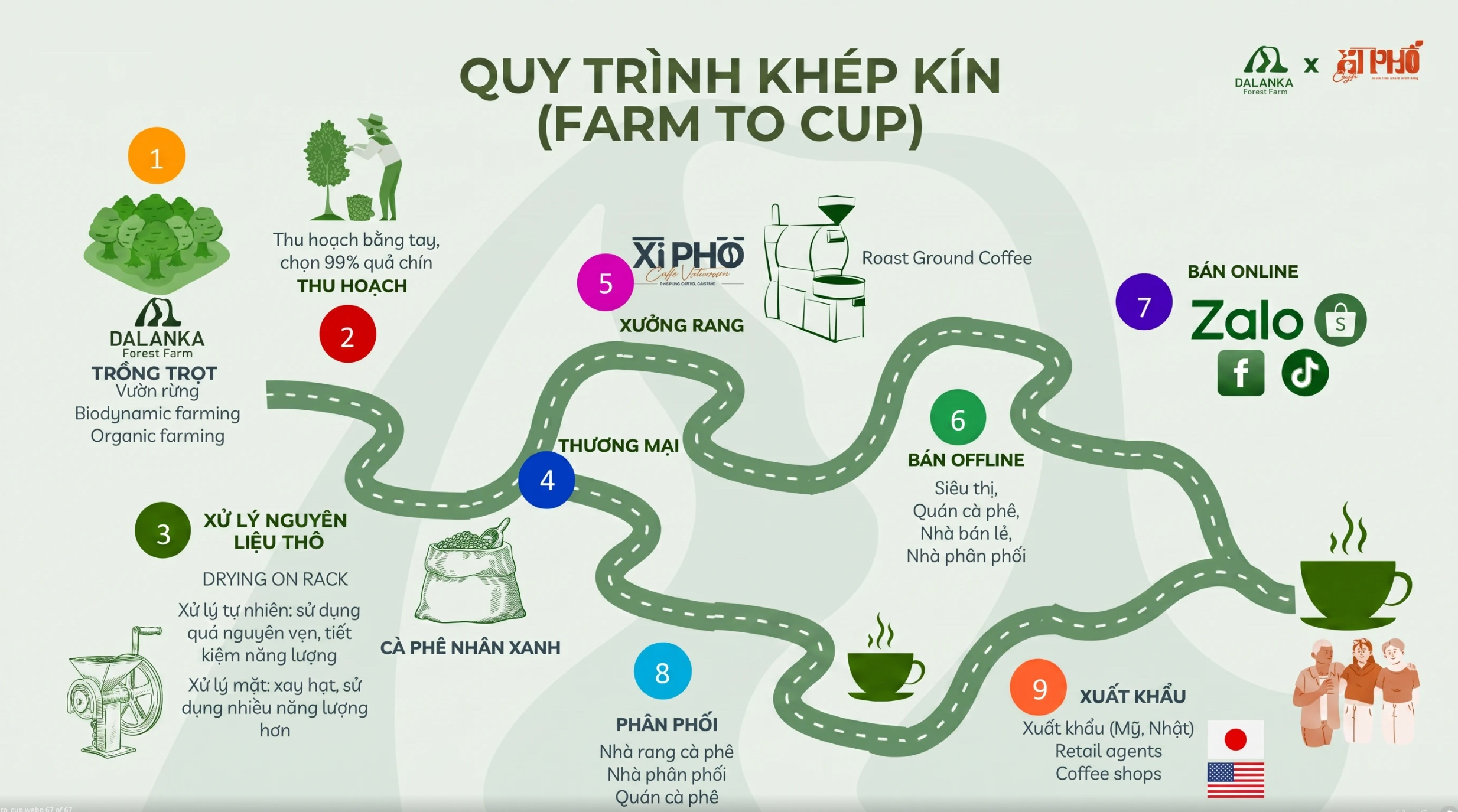 Sơ đồ quy trình Farm to Cup 9 bước