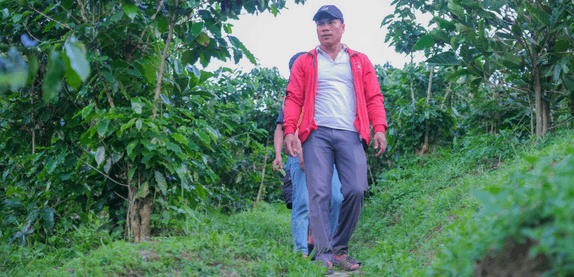 Vườn Hoàng Luận